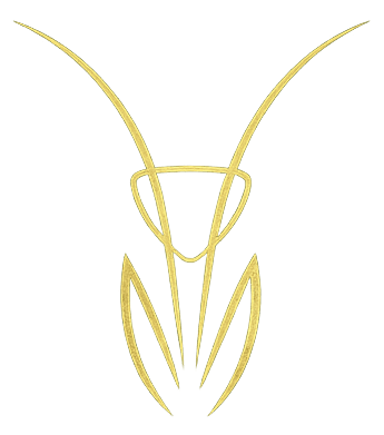 Mantis
