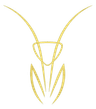 Mantis