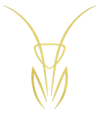 Mantis